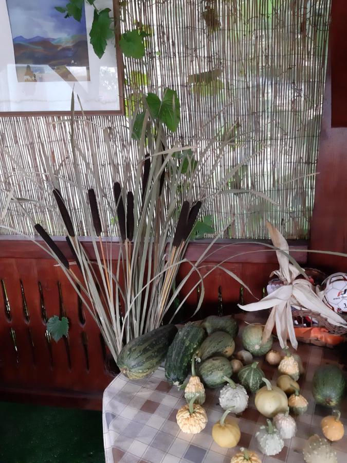Becze Vanda Kulcsoshaz Lazarea Ngoại thất bức ảnh
