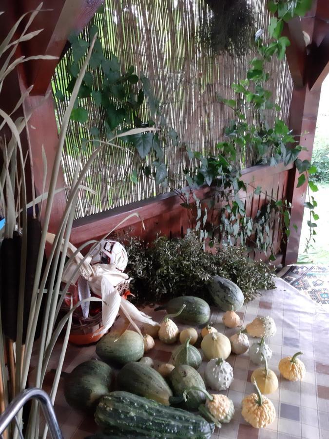 Becze Vanda Kulcsoshaz Lazarea Ngoại thất bức ảnh